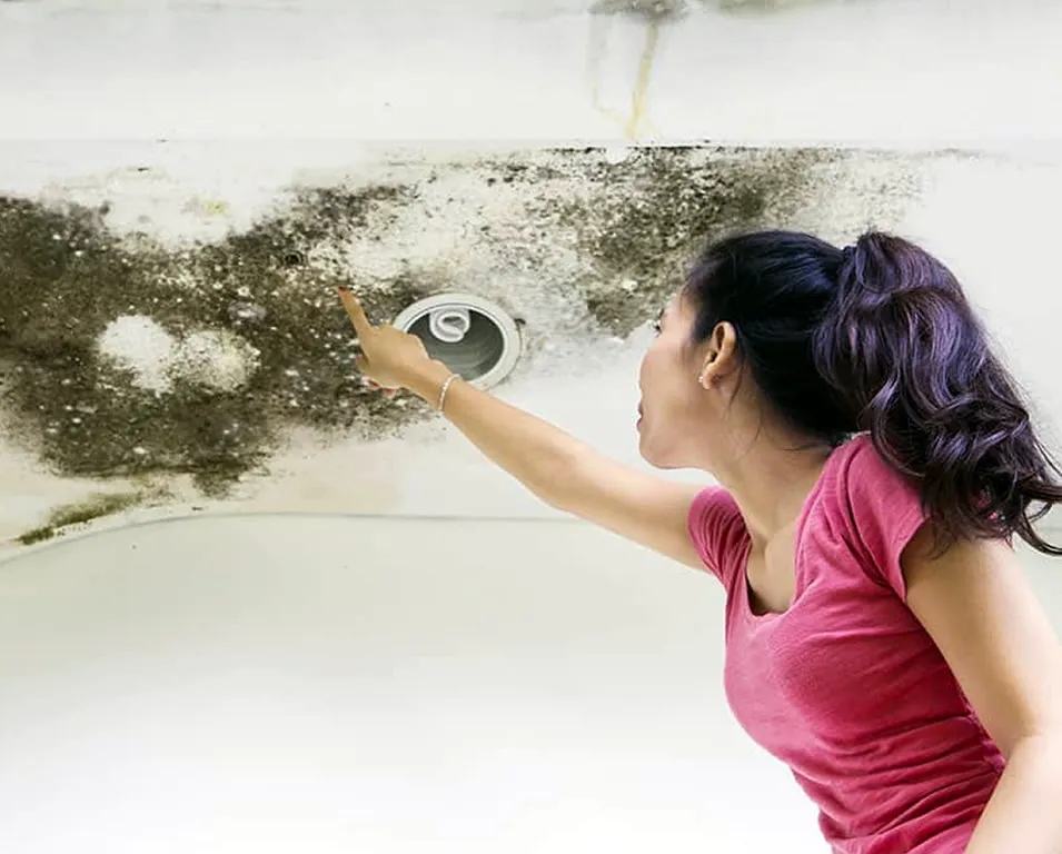 Campizal Construcciones | Impermeabilizaciones