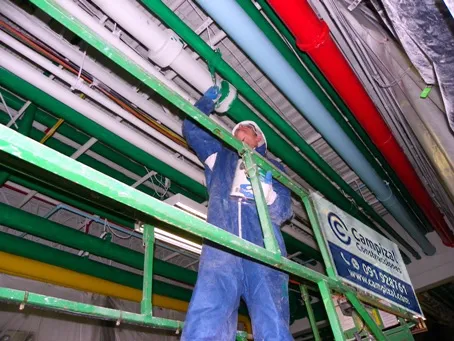 Campizal División Pinturas Industriales